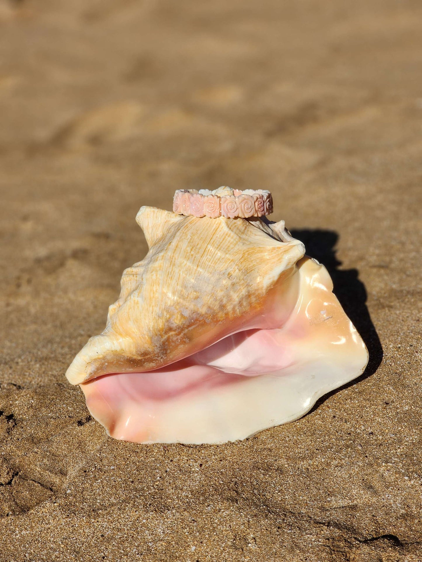 Conch Shell Bracelet