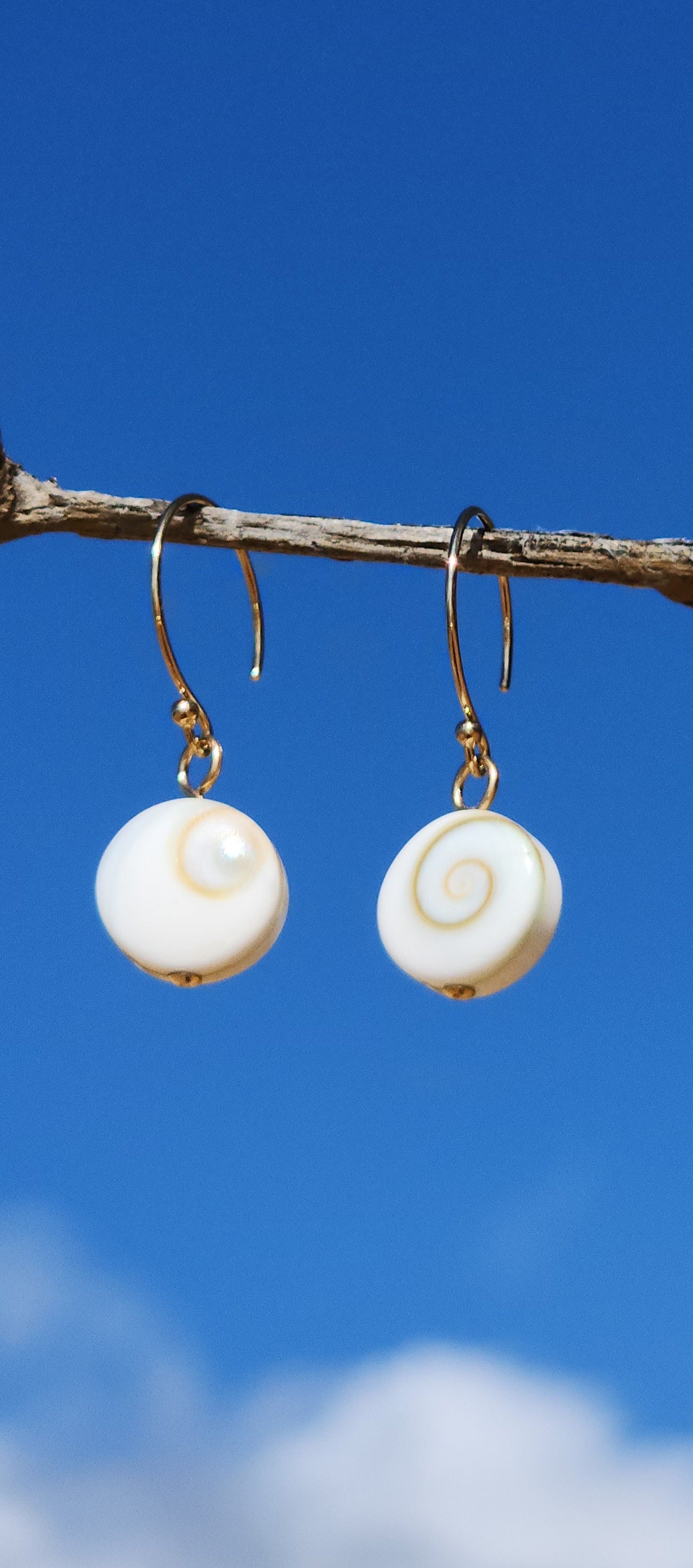 Shiva Shell 14k gold fill Earrings